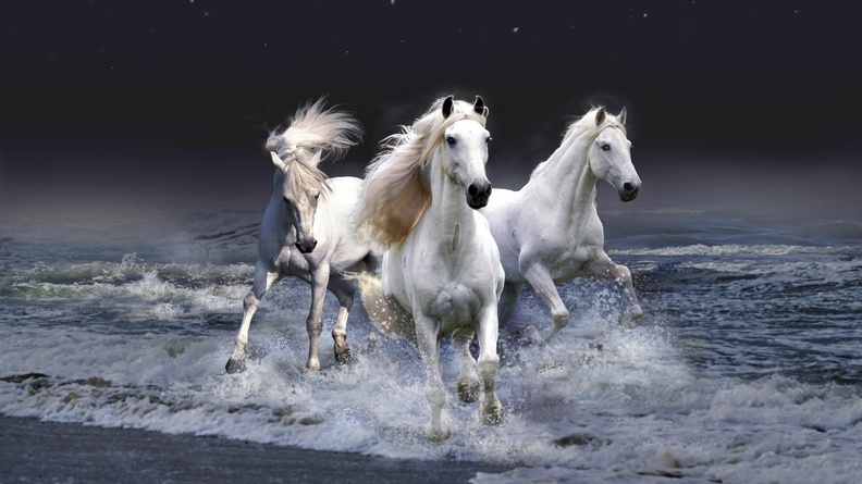 2014 Chinese New Year of the Horse Wallpaper 11 Wallpaper 1920x1080[10wallpaper.com]